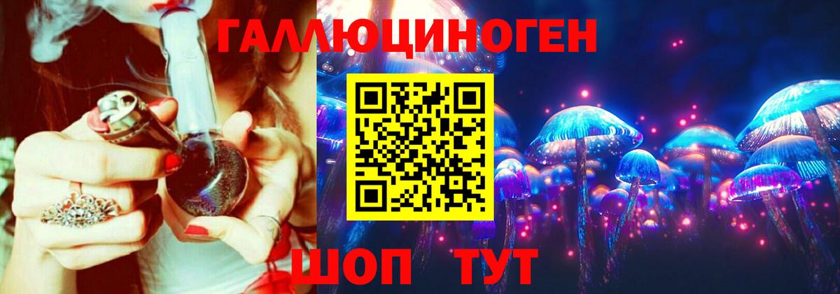 Псилоцибиновые грибы Psilocybe  Вход с VPN  Видное 